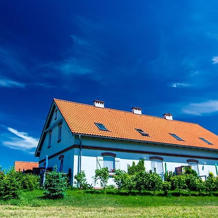 Fajne Miejsce Villa Jeziorany Dış mekan fotoğraf