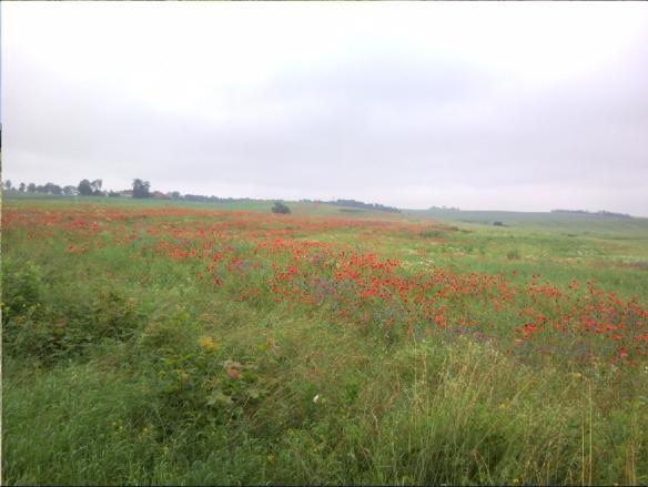 Fajne Miejsce Villa Jeziorany Dış mekan fotoğraf